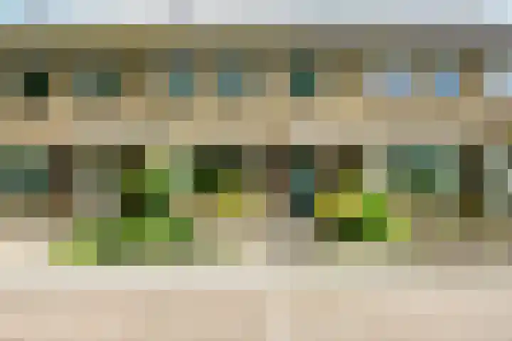 Nicolaas Beetsstraat 37 in Hengelo