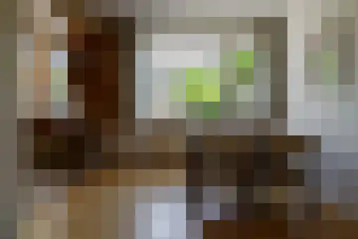 Nicolaas Beetsstraat 37 Hengelo thumbnail 10