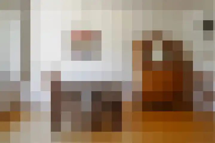 Nicolaas Beetsstraat 37 Hengelo thumbnail 11