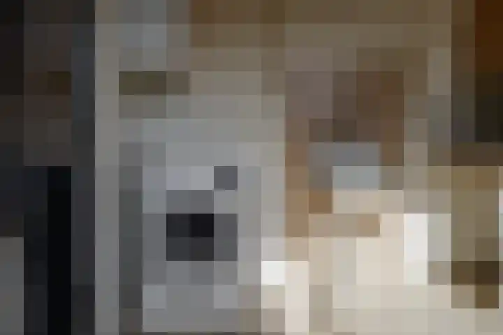 Nicolaas Beetsstraat 37 Hengelo thumbnail 17