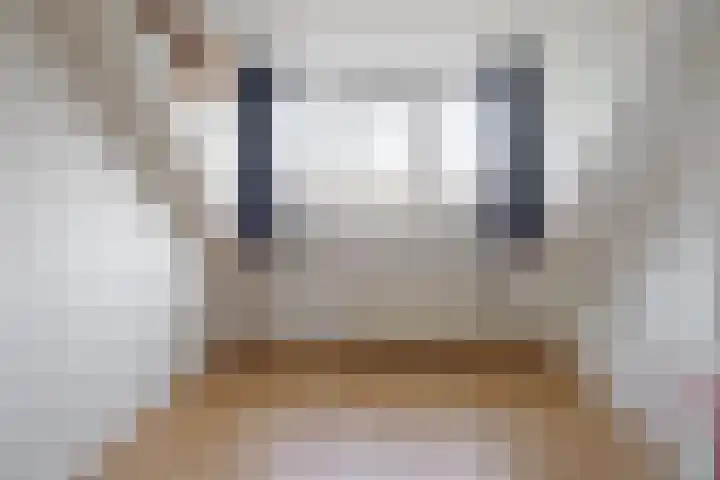 Nicolaas Beetsstraat 37 Hengelo thumbnail 31