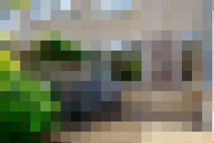 Nicolaas Beetsstraat 37 Hengelo thumbnail 32