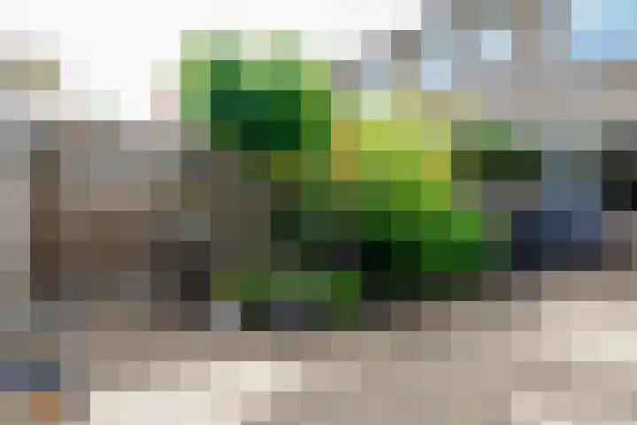 Nicolaas Beetsstraat 37 Hengelo thumbnail 36