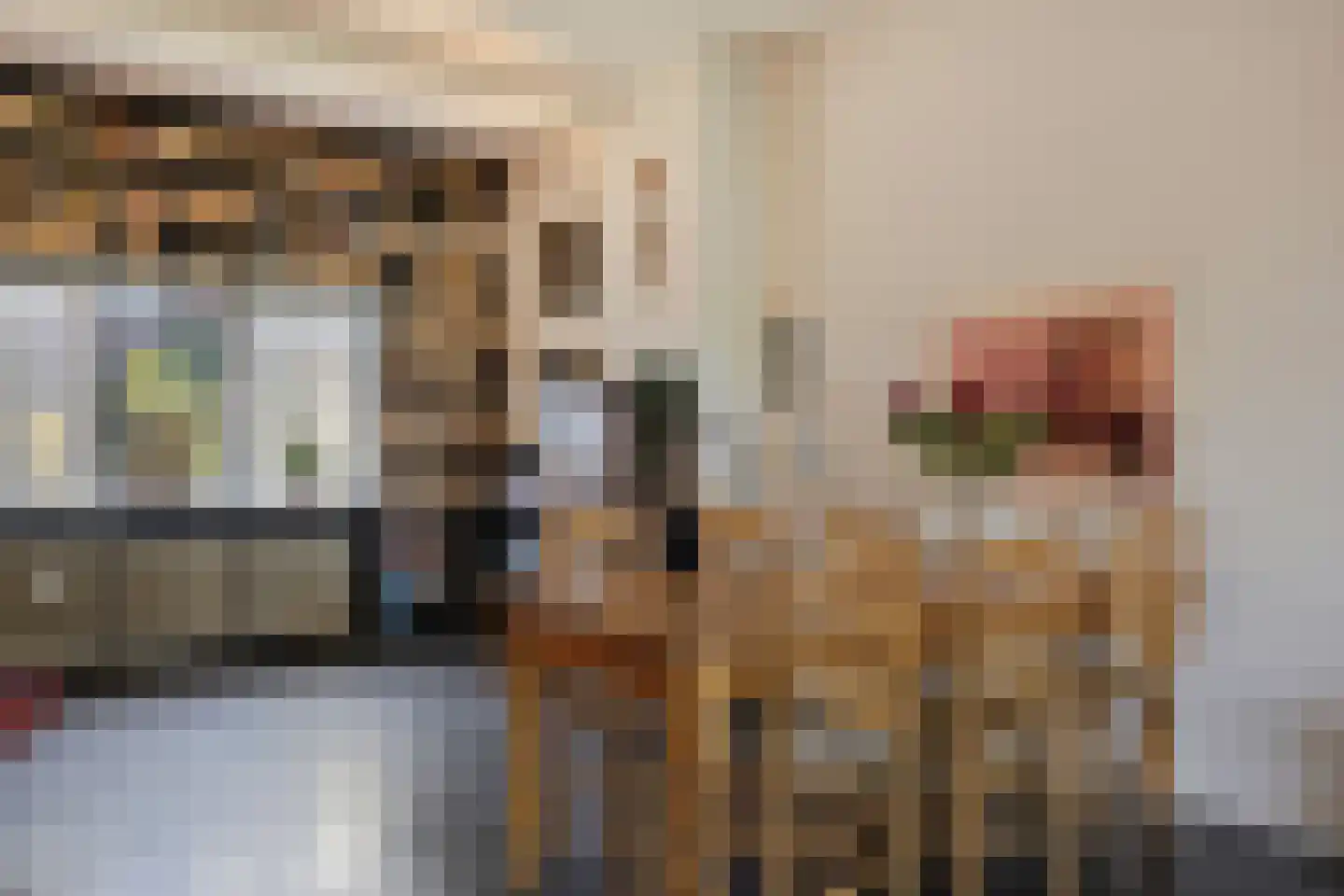 Nicolaas Beetsstraat 39 Eindhoven thumbnail 16