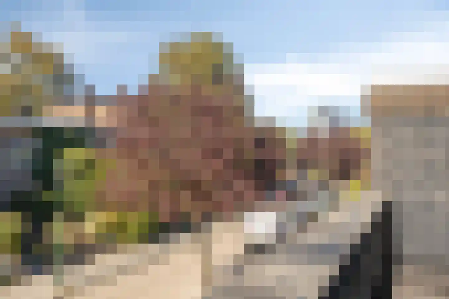 Nicolaas Beetsstraat 39 Eindhoven thumbnail 30