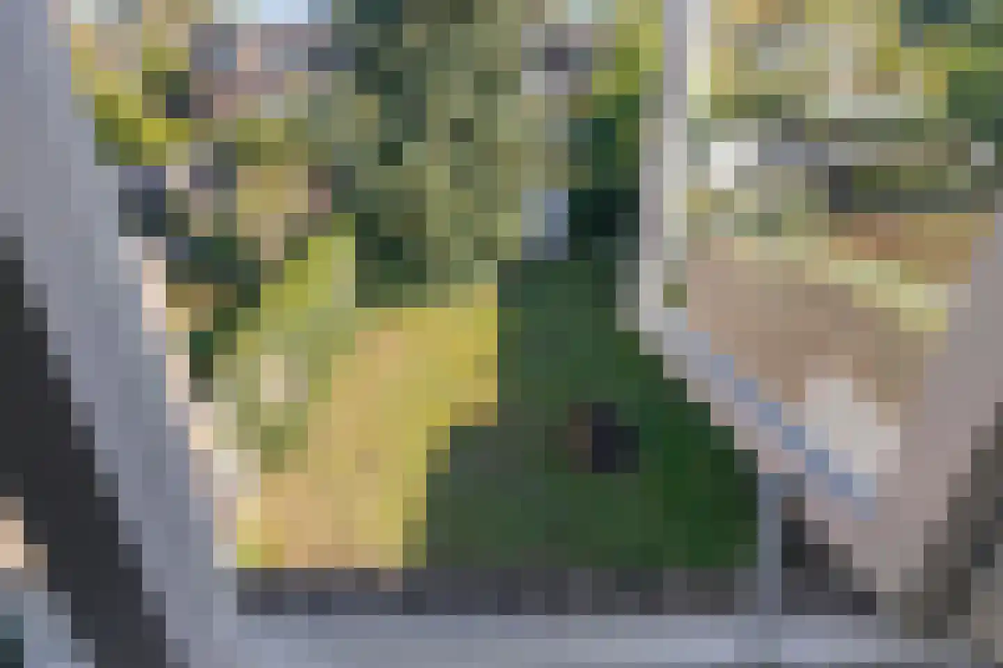 Nicolaas Beetsstraat 39 Eindhoven thumbnail 33