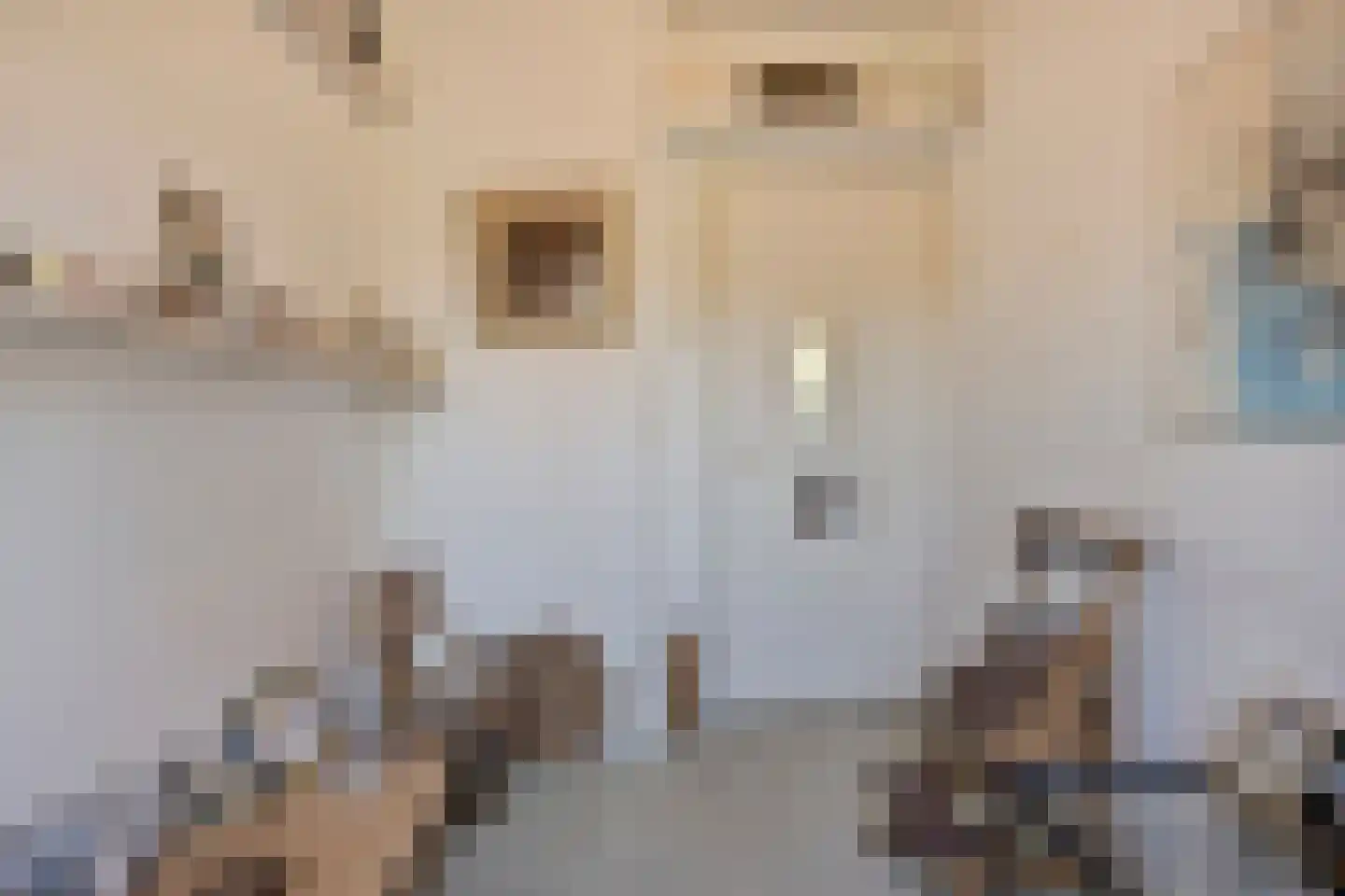 Nicolaas Beetsstraat 39 Eindhoven thumbnail 35