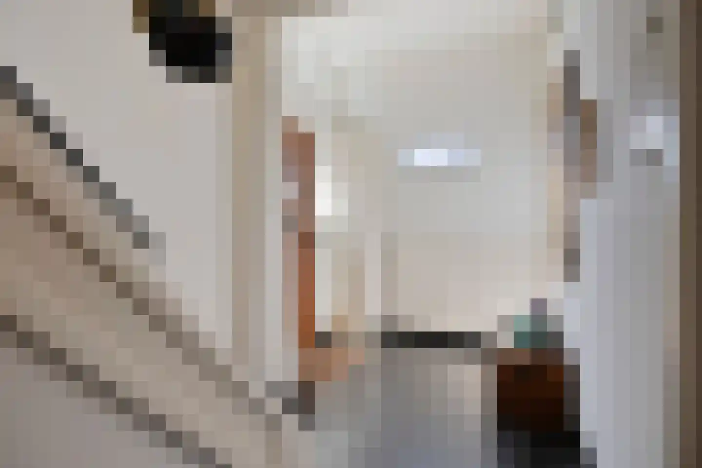 Nicolaas Beetsstraat 39 Eindhoven thumbnail 6
