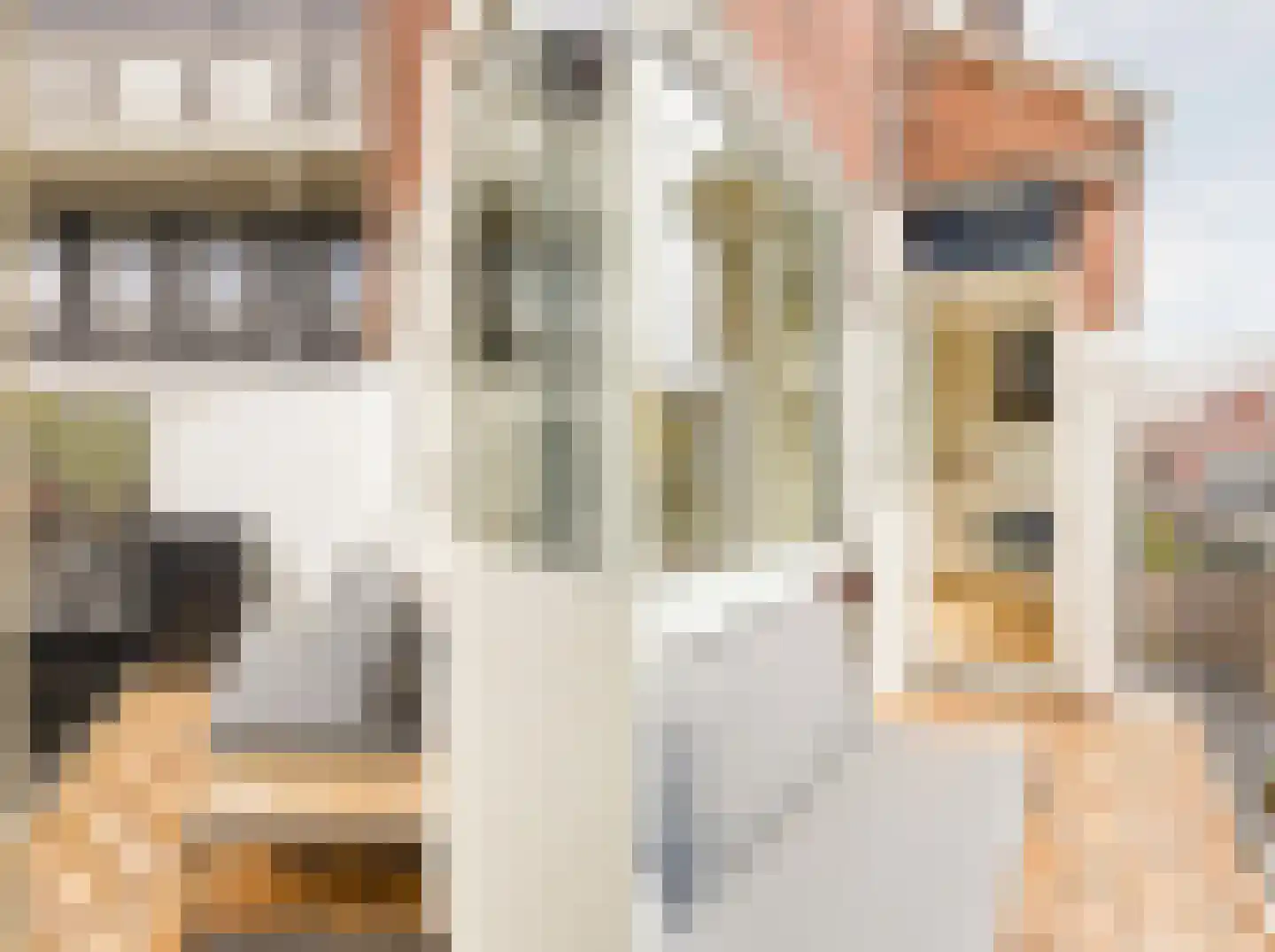 Nicolaas Beetsstraat 4 Haarlem thumbnail 16