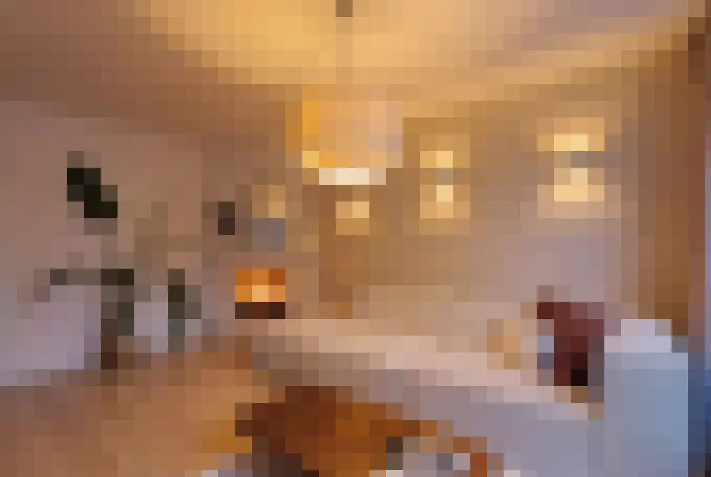 Nicolaas Beetsstraat 4 Haarlem thumbnail 7