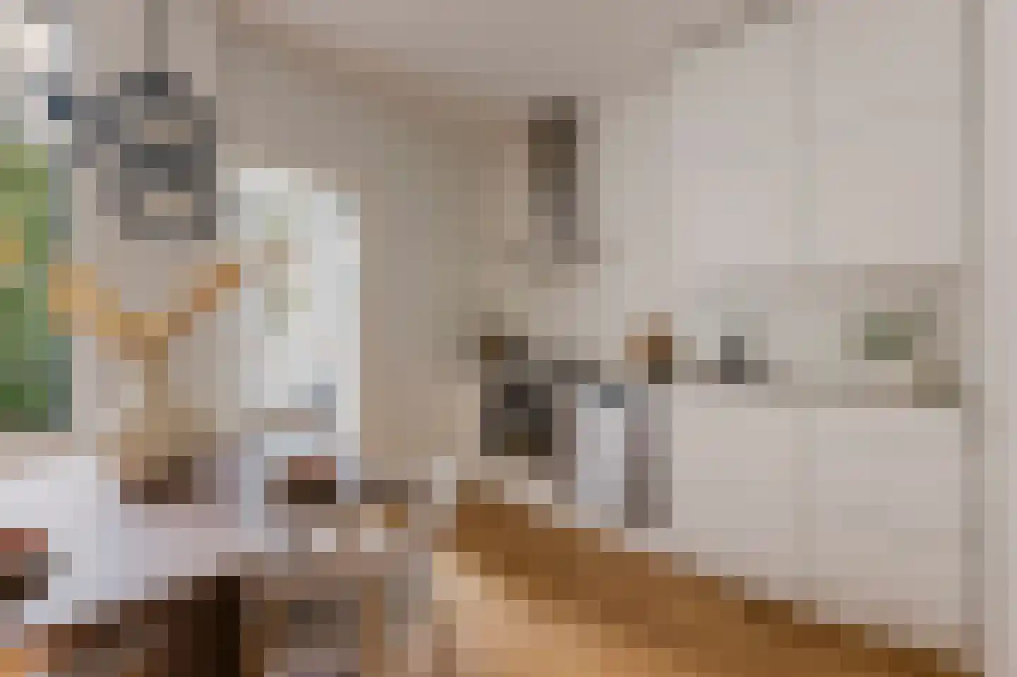Nicolaas Beetsstraat 44 3 Amsterdam thumbnail 13