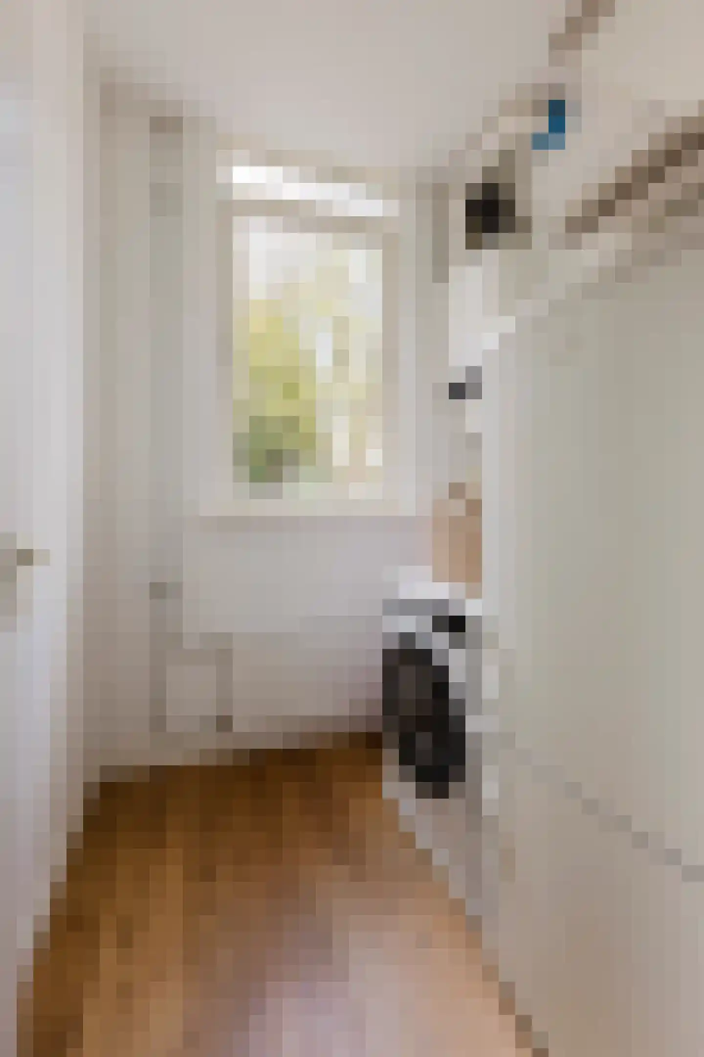 Nicolaas Beetsstraat 44 3 Amsterdam thumbnail 23