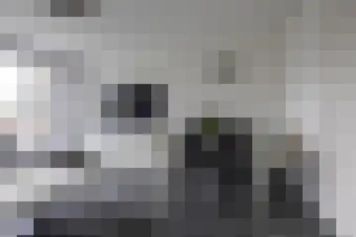 Nicolaas Beetsstraat 5 Heemskerk thumbnail 10
