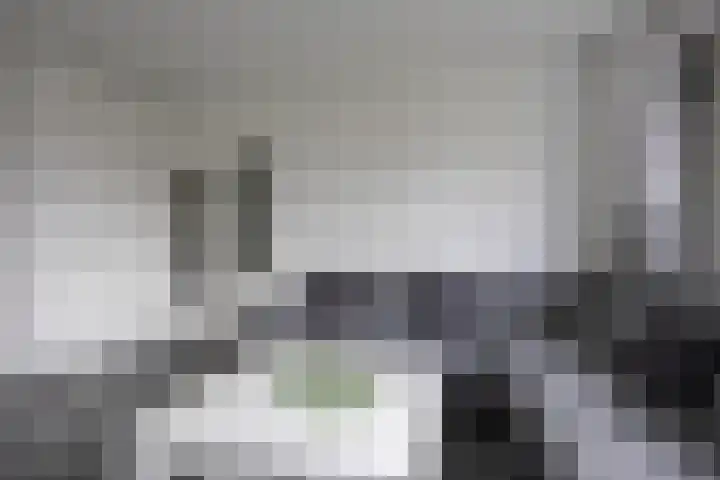 Nicolaas Beetsstraat 5 Heemskerk thumbnail 12