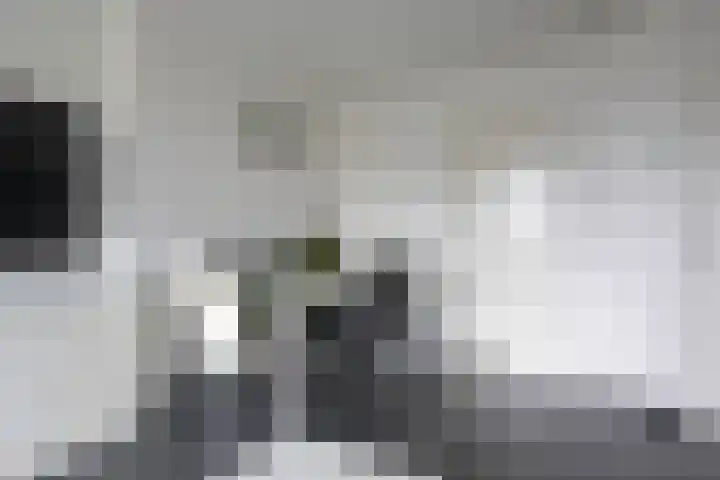 Nicolaas Beetsstraat 5 Heemskerk thumbnail 13