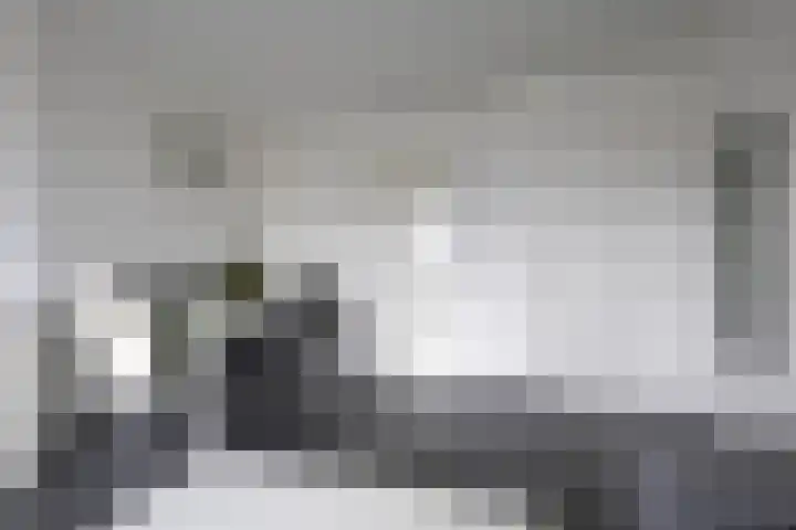 Nicolaas Beetsstraat 5 Heemskerk thumbnail 14