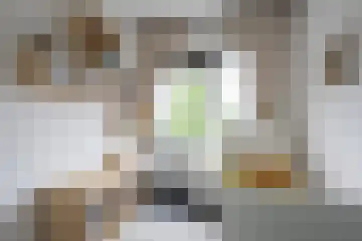 Nicolaas Beetsstraat 5 Heemskerk thumbnail 20