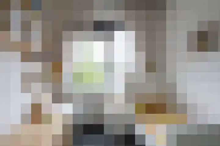 Nicolaas Beetsstraat 5 Heemskerk thumbnail 21