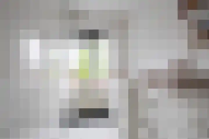 Nicolaas Beetsstraat 5 Heemskerk thumbnail 23