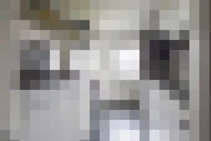 Nicolaas Beetsstraat 5 Heemskerk thumbnail 25