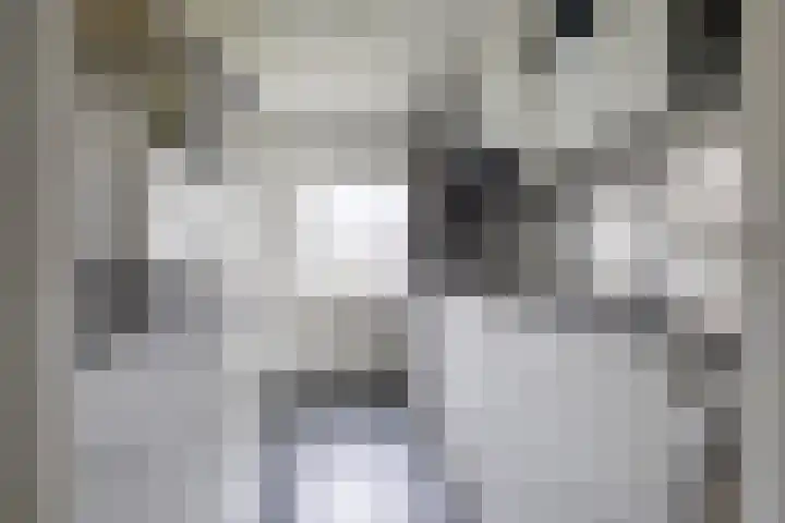 Nicolaas Beetsstraat 5 Heemskerk thumbnail 26