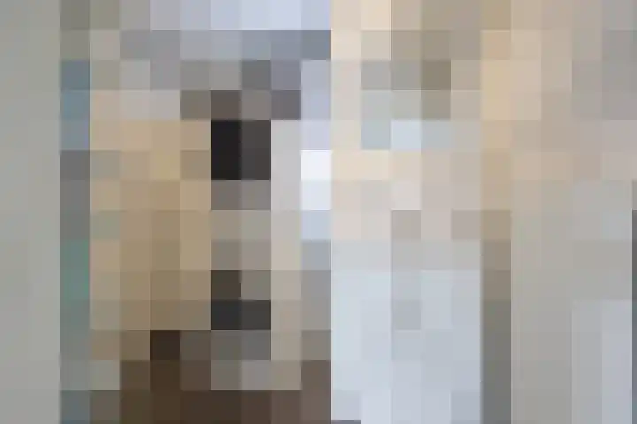 Nicolaas Beetsstraat 5 Heemskerk thumbnail 29