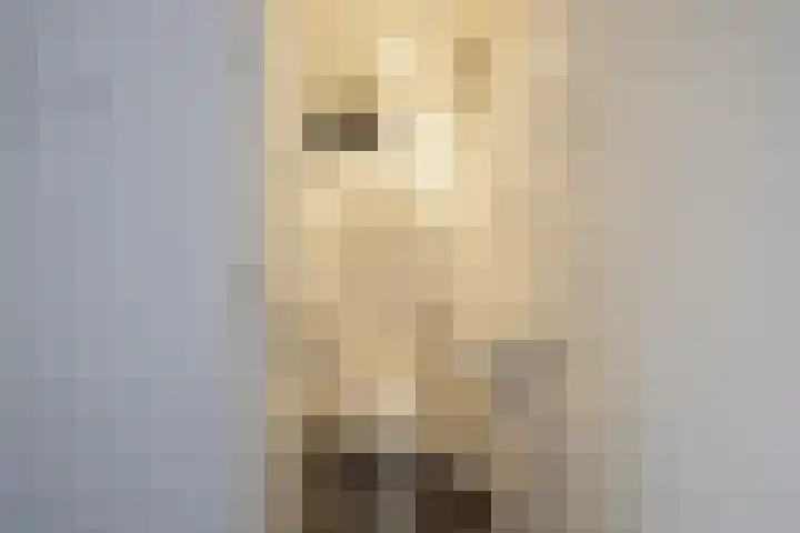 Nicolaas Beetsstraat 5 Heemskerk thumbnail 32