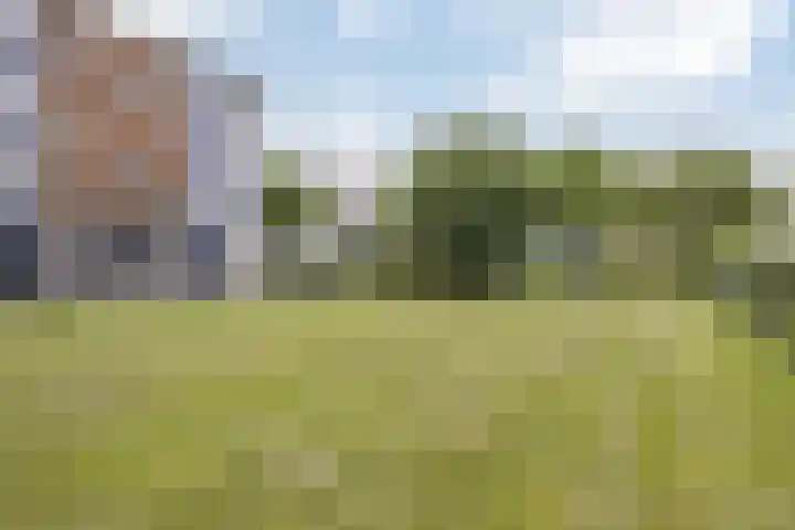 Nicolaas Beetsstraat 5 Heemskerk thumbnail 33