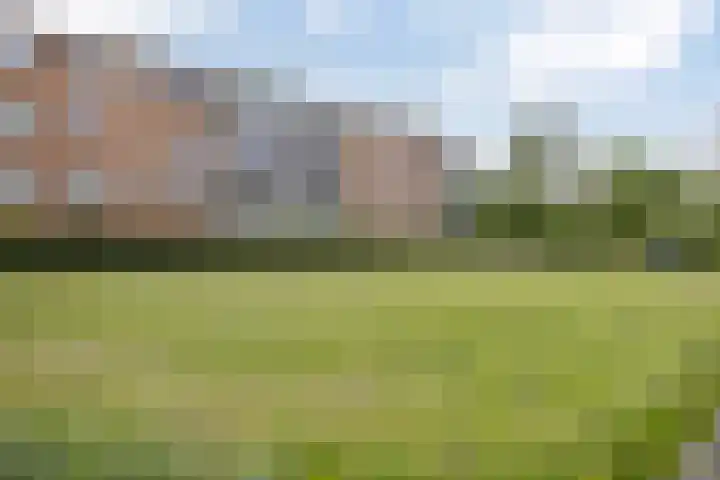 Nicolaas Beetsstraat 5 Heemskerk thumbnail 34