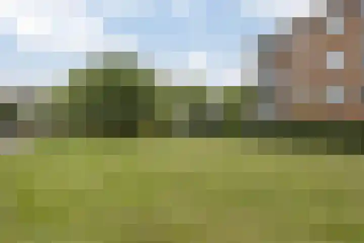 Nicolaas Beetsstraat 5 Heemskerk thumbnail 35