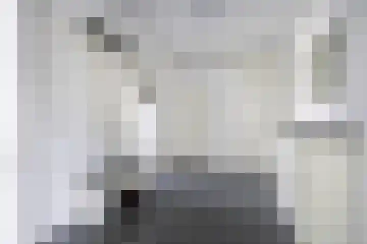 Nicolaas Beetsstraat 5 Heemskerk thumbnail 7