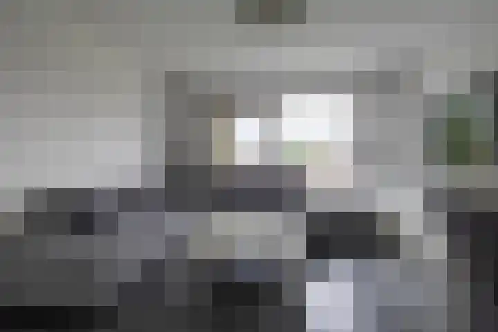 Nicolaas Beetsstraat 5 Heemskerk thumbnail 9