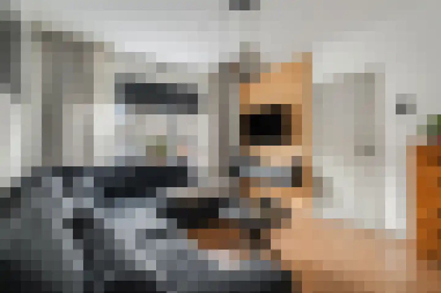 Nicolaas Beetsstraat 5 Kesteren thumbnail 11