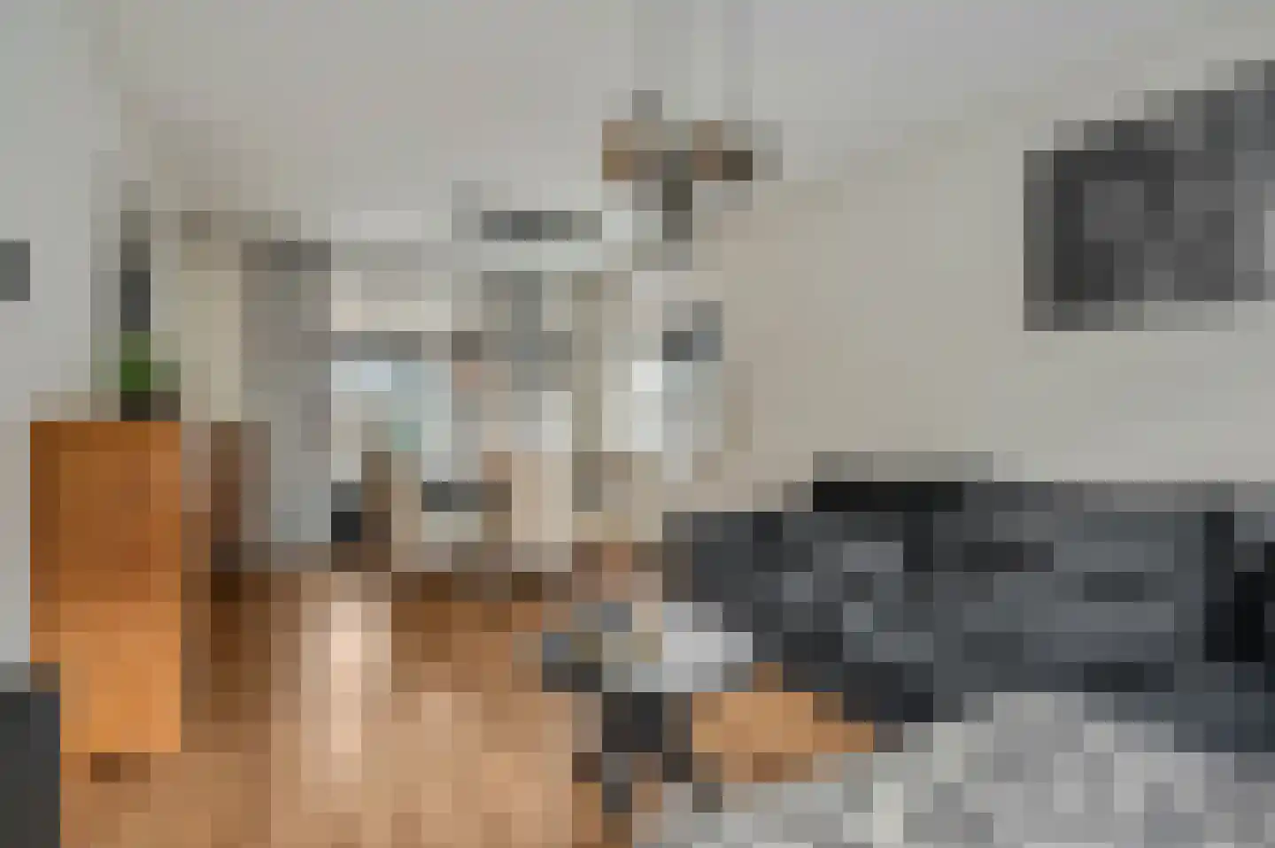 Nicolaas Beetsstraat 5 Kesteren thumbnail 15