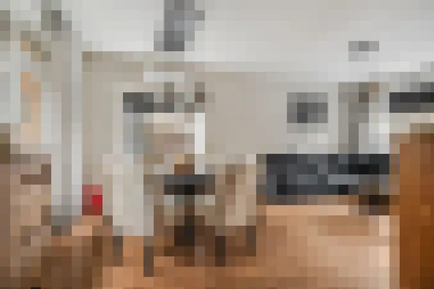 Nicolaas Beetsstraat 5 Kesteren thumbnail 18