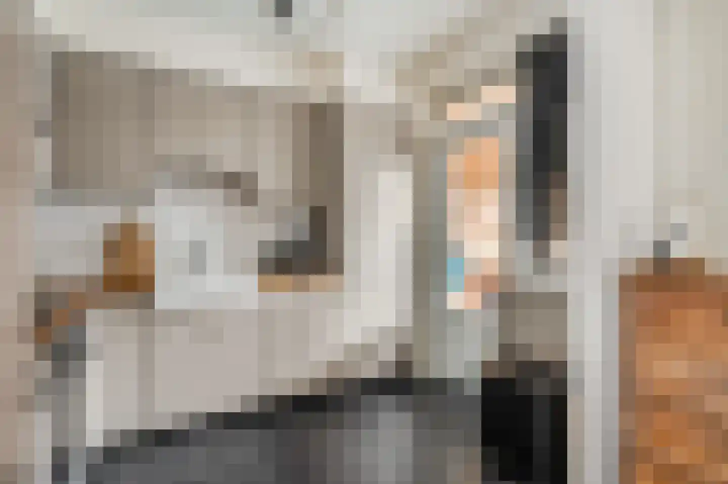 Nicolaas Beetsstraat 5 Kesteren thumbnail 22