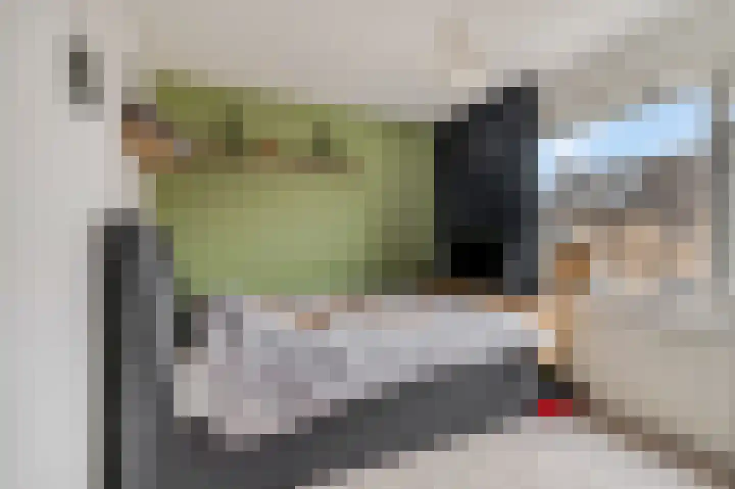 Nicolaas Beetsstraat 5 Kesteren thumbnail 29