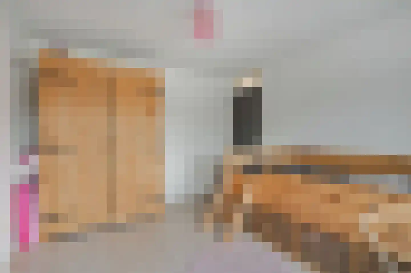 Nicolaas Beetsstraat 5 Kesteren thumbnail 34