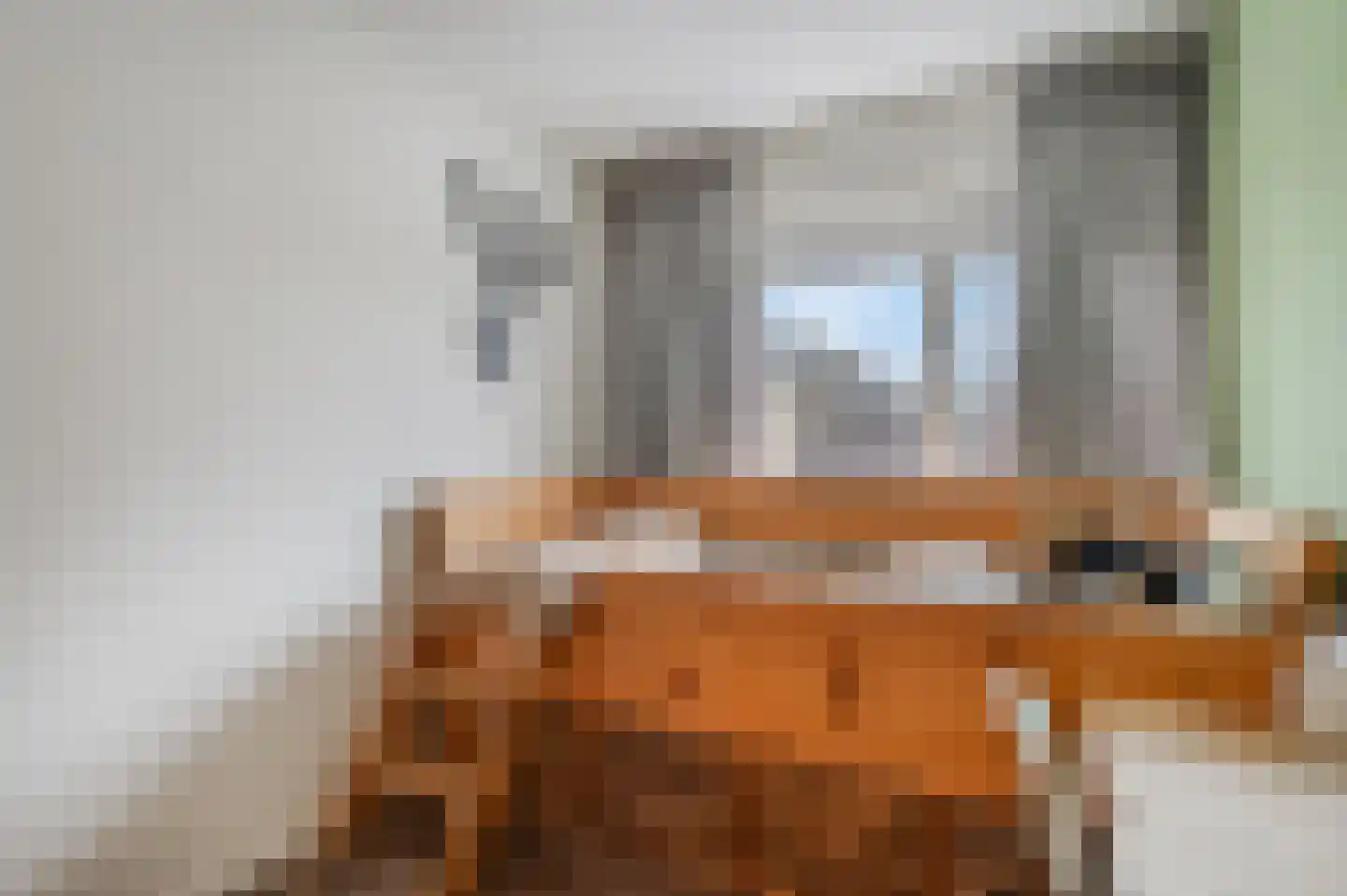Nicolaas Beetsstraat 5 Kesteren thumbnail 35
