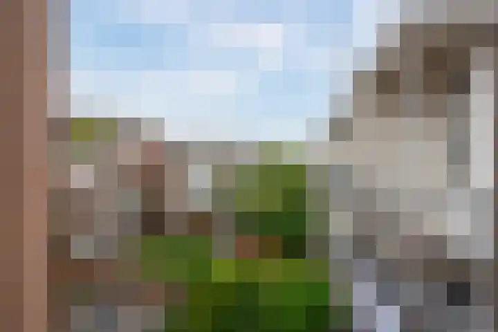 Nicolaas Beetsstraat 50 1 Amsterdam thumbnail 16