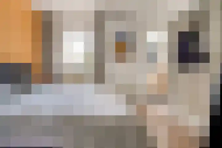 Nicolaas Beetsstraat 55 B Amsterdam thumbnail 7