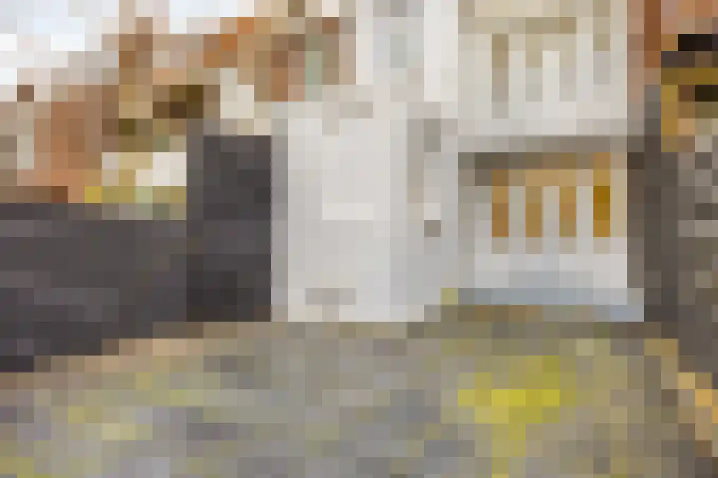 Nicolaas Beetsstraat 56 Schiedam thumbnail 20