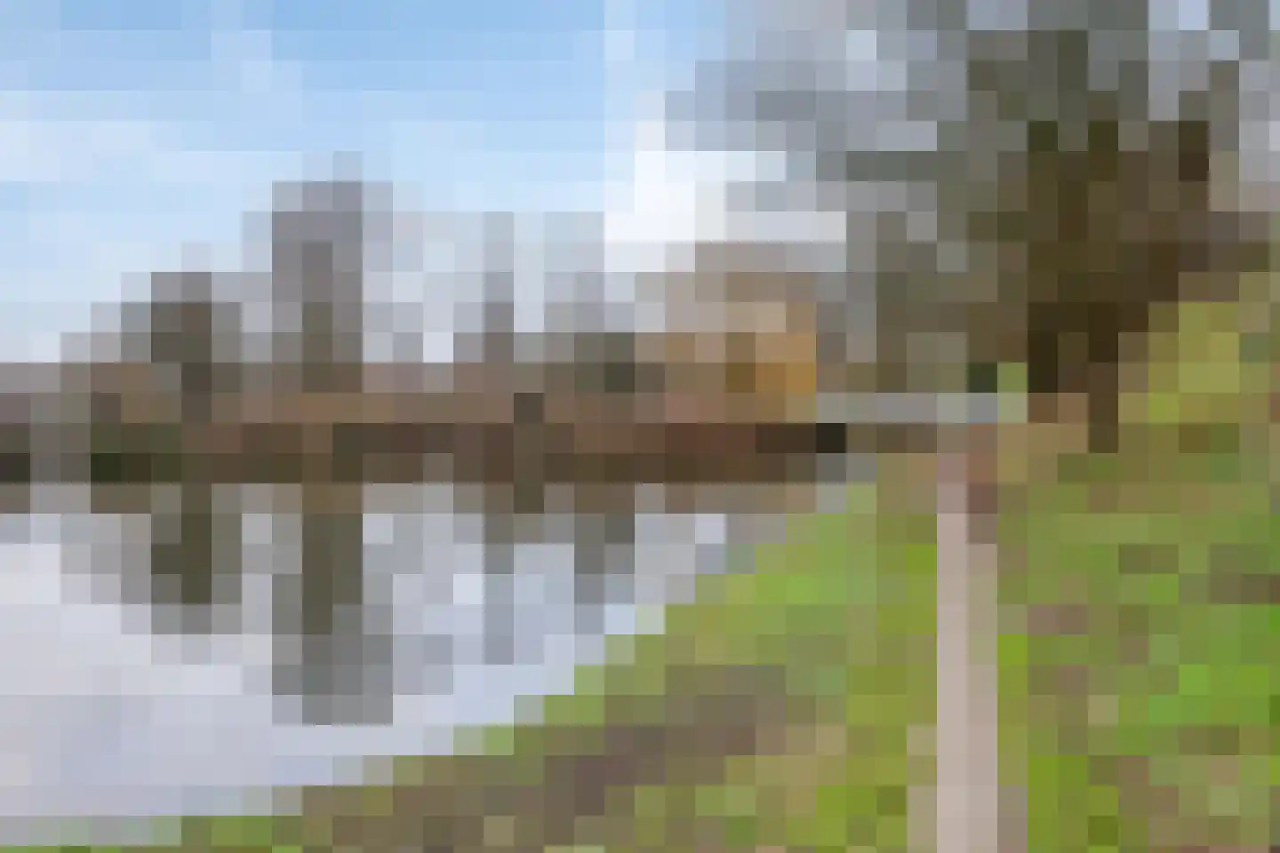 Nicolaas Beetsstraat 56 Schiedam thumbnail 52