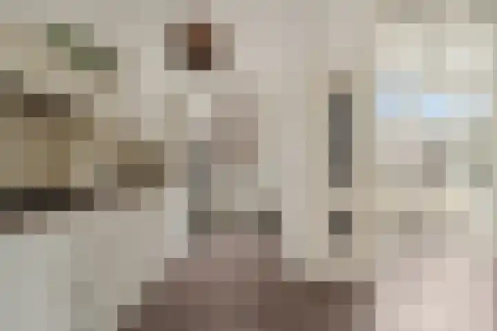 Nicolaas Beetsstraat 6 B Utrecht thumbnail 9