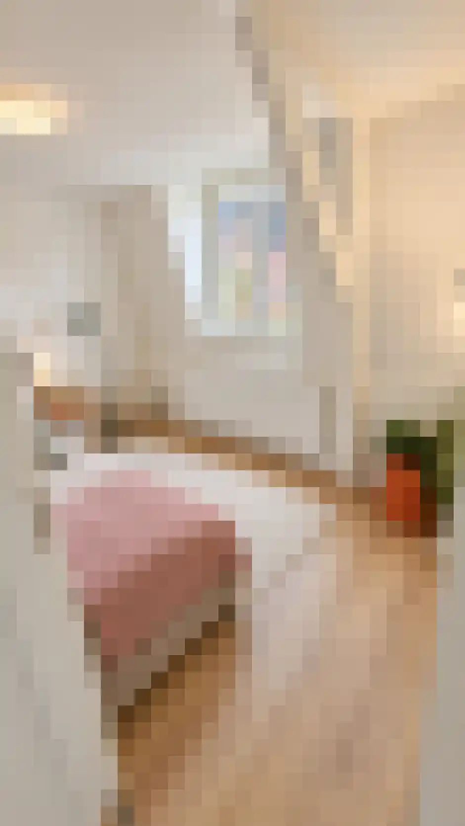 Nicolaas Beetsstraat 6 C Utrecht thumbnail 12