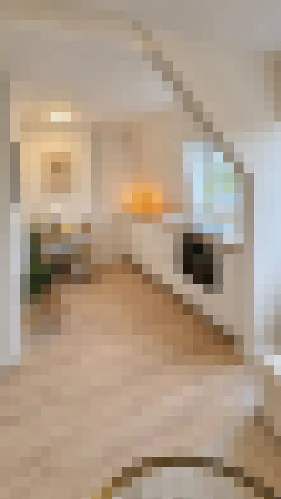 Nicolaas Beetsstraat 6 C Utrecht thumbnail 5