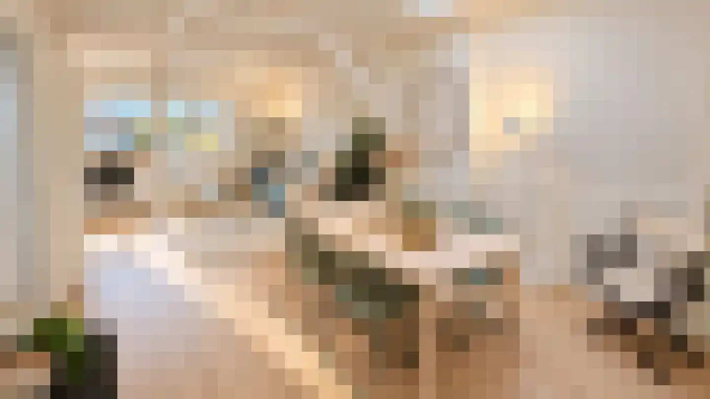 Nicolaas Beetsstraat 6 C Utrecht thumbnail 6