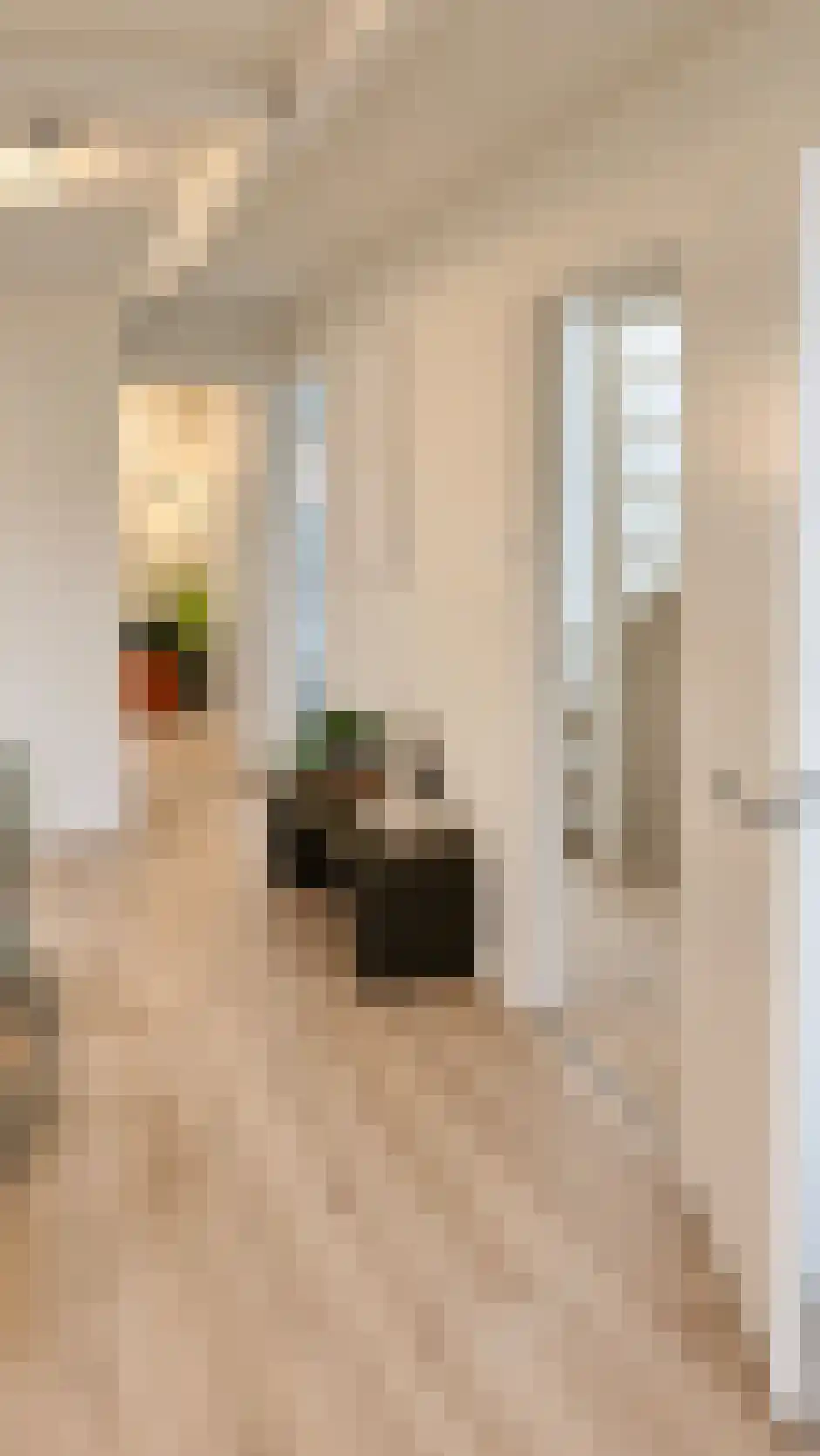 Nicolaas Beetsstraat 6 C Utrecht thumbnail 8