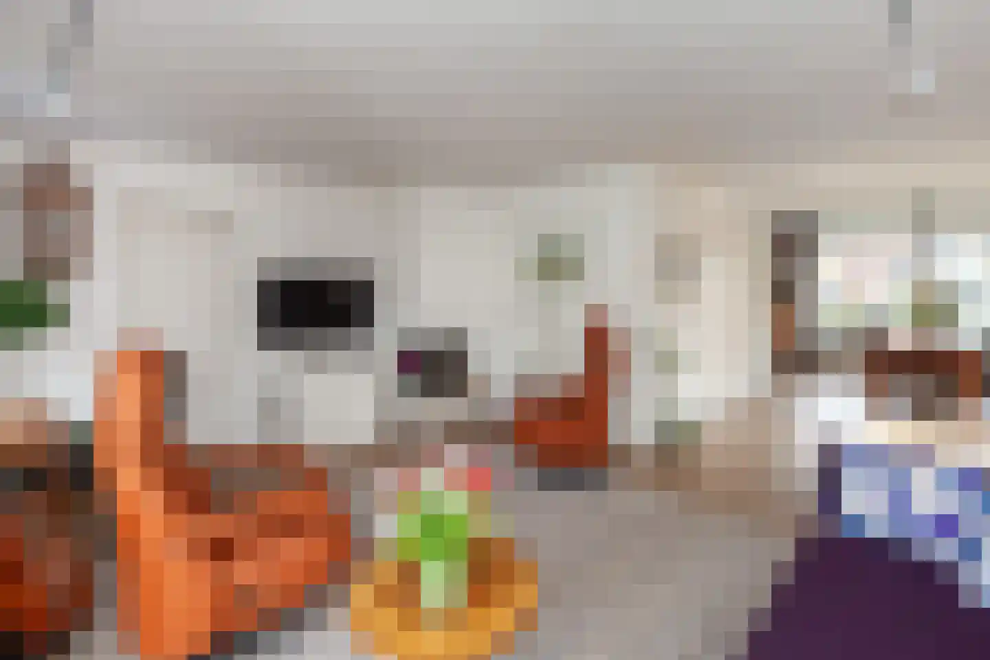 Nicolaas Beetsstraat 6 Papendrecht thumbnail 10