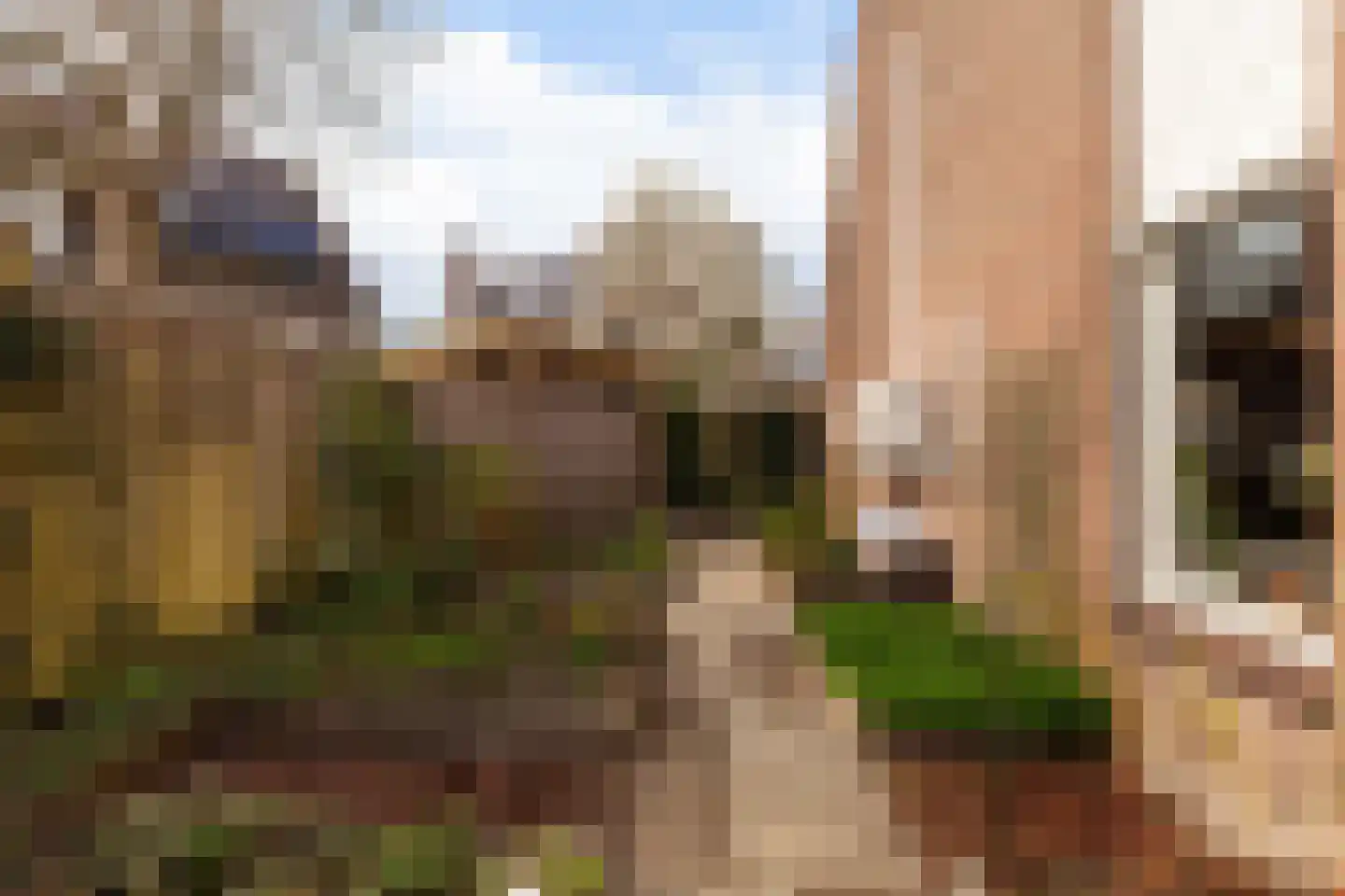 Nicolaas Beetsstraat 6 Papendrecht thumbnail 40